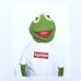 画像2: 05s SUPREME×KERMIT PHOTO TEE SHIRT (2)