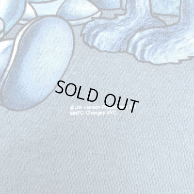 画像5: 90s USA製 SESAME STREET CALVIN KLEIN PARODY TEE SHIRT