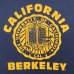 画像2: 90s USA製 CALIFORNIA UNIVERSITY TEE SHIRT (2)