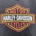 画像4: 90s USA製 HARLEY DAVIDSON BIG LOGO TEE SHIRT (4)