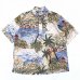 画像1: 90s REYN SPOONER PULLOVER HAWAIIAN S/S SHIRT (1)