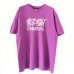 画像1: STUSSY TEE SHIRT (1)