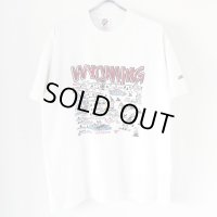 90s USA製 WYOMING SOUVENIR TEE SHIRT