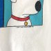 画像3: 00s FAMILY GUY TEE SHIRT (3)