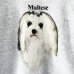 画像2: 90s USA製 MALTESE　DOG SWEAT  (2)