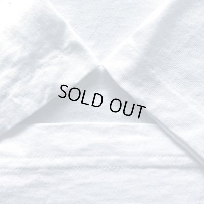 画像5: 90s USA製　THE NORTH FACE DENALI TEE SHIRT