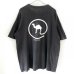 画像1: 90s USA製 CAMEL 企業 TEE SHIRT (1)