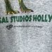 画像5: 90s USA製 UNIVERSAL STUDIOS HOLLYWOOD JURASSIC PARK THE RIDE TEE SHIRT