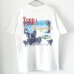 画像1: 90s USA製 THE NORTH FACE　TEE SHIRT (1)