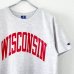 画像2: 90s USA製 CHAMPION WISCONSIN 染み込みPRINT TEE SHIRT (2)