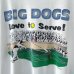 画像2: 90s USA製 BIG DOGS ART TEE SHIRT (2)