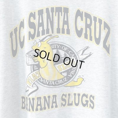 画像2: 90s USA製 UC SANTA CRUZ BANANA SLUGS TEE SHIRT