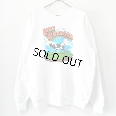 画像1: 90s USA製 ART SWEAT