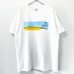 画像1: 00s USA製 Windows XP 企業 TEE SHIRT (1)