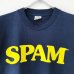 画像2: 90s USA製 SPAM LOGO TEE SHIRT (2)