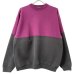 画像1: 90s USA製　HANES BI COLOR SWEAT (1)