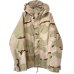 画像1: 00s ECWCS GORE-TEX PARKA (1)