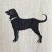 画像3: 90s USA製 THE BLACK DOG TEE SHIRT