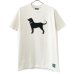 画像1: 90s USA製 THE BLACK DOG TEE SHIRT (1)