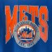 画像2: 90s USA製 NEW YORk METS TEE SHIRT (2)