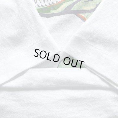 画像5: 90s USA製 U-HAUL DINOSAUR NATIONAL MOUNMENT TEE SHIRT