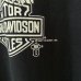 画像4: 80s USA製 HARLEY DAVIDSON EAGLE TEE SHIRT (4)