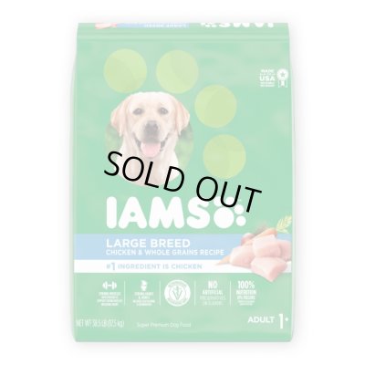 画像6: 90s USA製 IAMS DOG FOOD 企業 TEE SHIRT