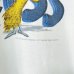 画像3: 90s DR.SUESS TEE SHIRT (3)