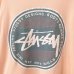 画像4: 90s USA製 OLD STUSSY BIG LOGO TEE SHIRT