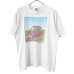 画像1: 80s 90s USA製 THE FAR SIDE ART TEE SHIRT (1)