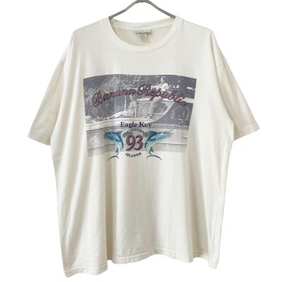 画像1: 90s USA製 BANANA REPUBLIC PHOTO TEE SHIRT