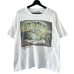 画像1: 90s USA製 SALVADOR DALI TEE SHIRT (1)