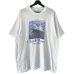 画像1: 90s USA製 CLAUDE MONET TEE SHIRT (1)