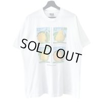 90s USA製 USPS PEARCHE&PEARS ART TEE SHIRT