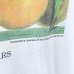 画像4: 90s USA製 USPS PEARCHE&PEARS ART TEE SHIRT