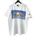 画像1: 2000s DISNEY ALLSTAR TEE SHIRT (1)