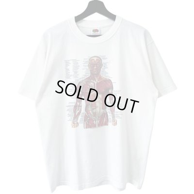 画像1: 00s ANATOMICAL CHART ART TEE SHIRT