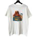 画像1: 90s USA製 LED ZEPPELIN TEE SHIRT (1)