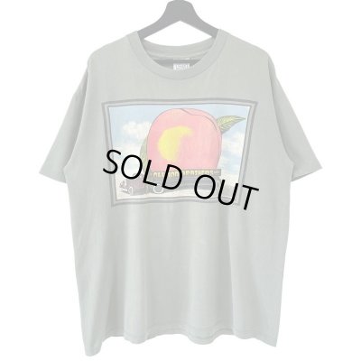 画像1: 90s USA製 THE ALLMAN BROTHERS BAND EAT A PEACH BAND TEE SHIRT