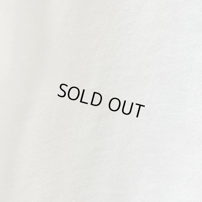 画像6: 90s カナダ製　G-7 SUMMIT ART TEE SHIRT