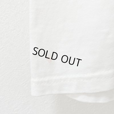 画像7: 90s USA製 LIBERTY GRAPHICS INSECT ART TEE SHIRT