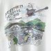 画像4: 90s USA製 GREATFUL DEAD FARTHUR FESTIVAL TEE SHIRT (4)