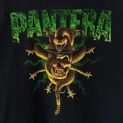 画像2: 90s USA製 PANTERA TEE SHIRT