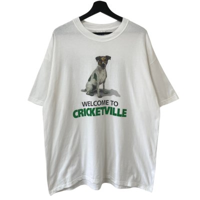 画像1: 90s CRICKET WIRELESS TEE SHIRT