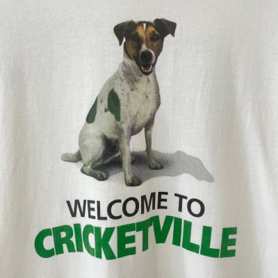 画像3: 90s CRICKET WIRELESS TEE SHIRT