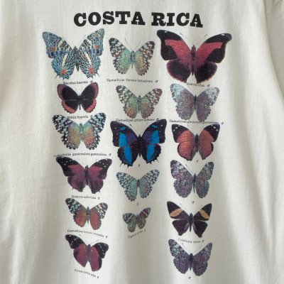 画像2: 90s BUTTERFLY INCECT TEE SHIRT