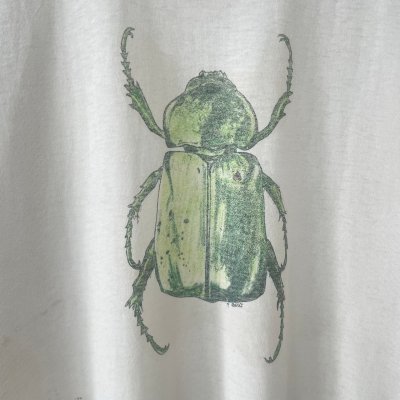 画像2: 90s~00s SCARAB BEETLE INCECT TEE SHIRT