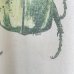 画像3: 90s~00s SCARAB BEETLE INCECT TEE SHIRT