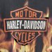 画像4: 90s USA製 HARLEY DAVIDSON BAR&SHIELD FLAME TEE SHIRT