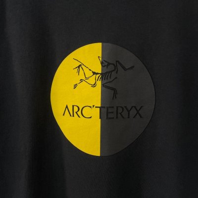 画像4: 90s~00s カナダ製 ARC'TERYX TEE SHIRT